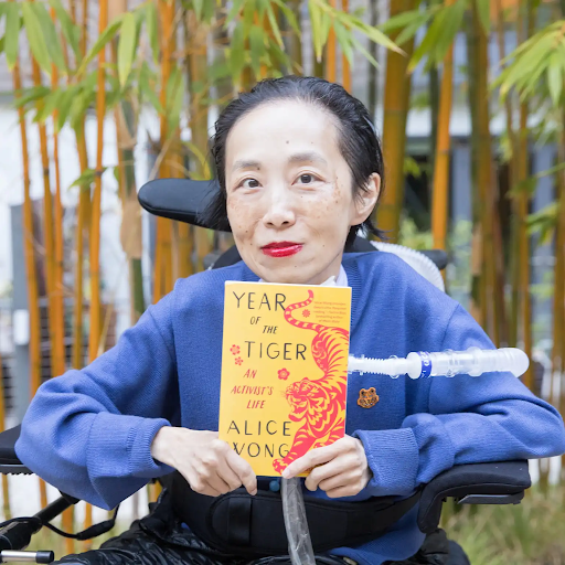 Credit: disabilityvisibilityproject.com